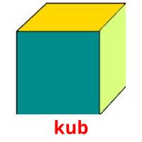 kub picture flashcards