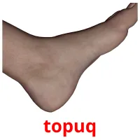 topuq picture flashcards