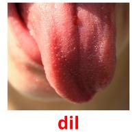 dil card for translate