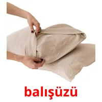 balışüzü карточки энциклопедических знаний