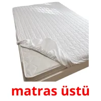 matras üstü карточки энциклопедических знаний