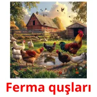 Ferma quşları карточки энциклопедических знаний