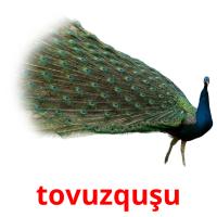 tovuzquşu карточки энциклопедических знаний