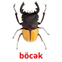 böcək picture flashcards