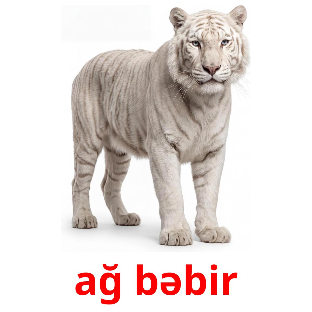 22 Printable Jungle animals Flashcards in Azerbaijani (Free PDF)