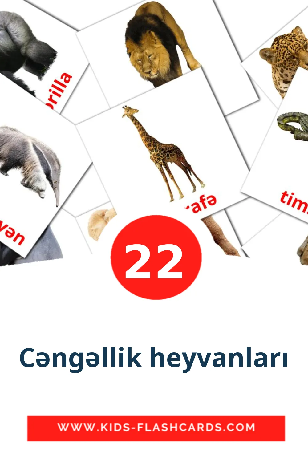 Cəngəllik heyvanları на азербайджанском для Детского Сада (22 карточки)