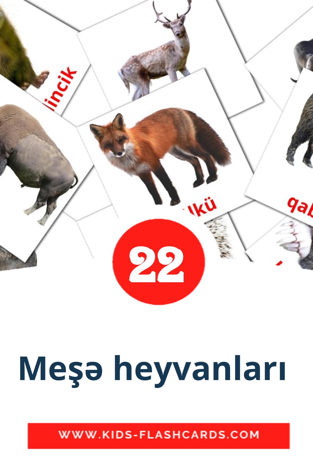 22 tarjetas didacticas de Meşə heyvanları  para el jardín de infancia en azerbaiyano