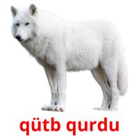 qütb qurdu card for translate