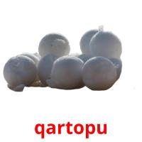 qartopu picture flashcards