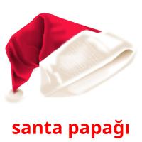 santa papağı picture flashcards