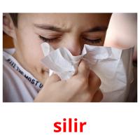 silir picture flashcards