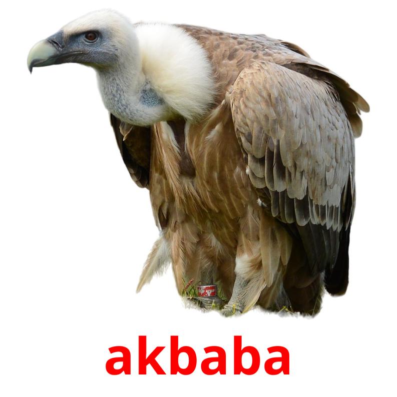 akbaba picture flashcards
