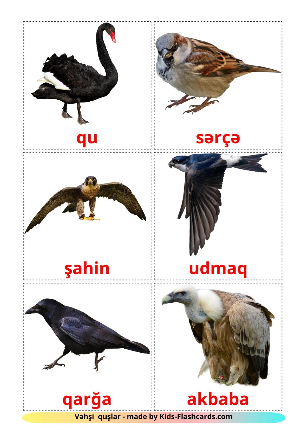 Les Oiseaux Sauvages - 18 Flashcards azerbaïdjanais imprimables gratuitement