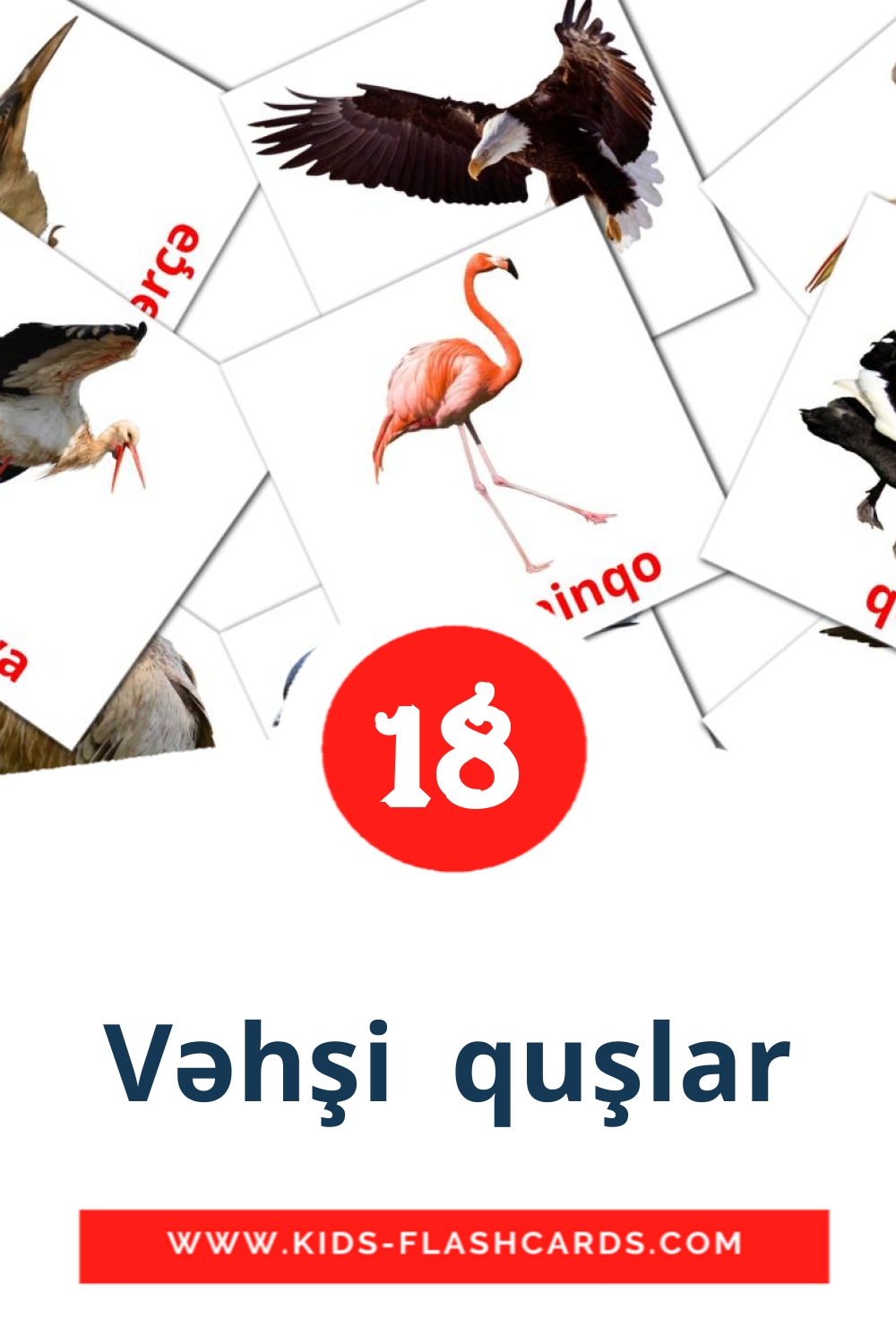 18 cartes illustrées de Vəhşi  quşlar pour la maternelle en azerbaïdjanais