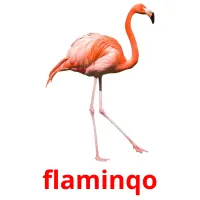 flaminqo карточки энциклопедических знаний