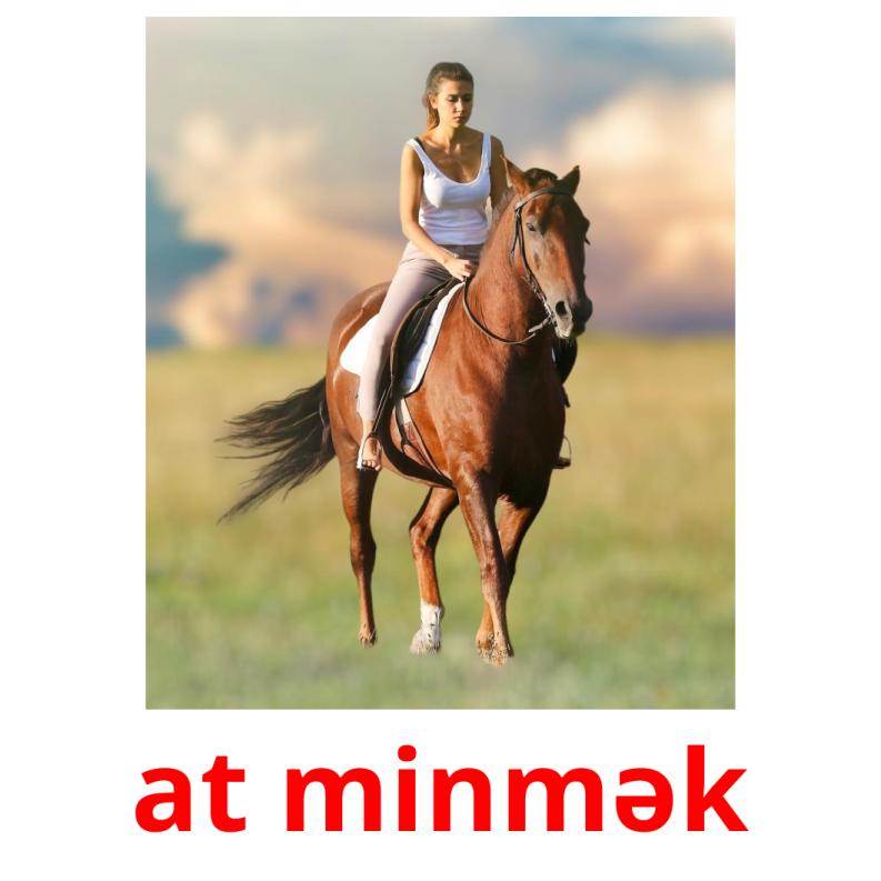 at minmək picture flashcards