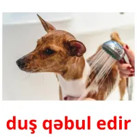 duş qəbul edir picture flashcards