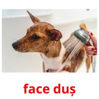 face duș flashcards illustrate
