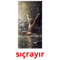 sıçrayır picture flashcards