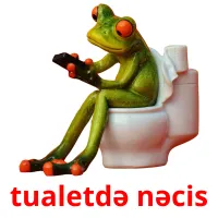 tualetdə nəcis picture flashcards