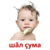 шăл çума Tarjetas didacticas