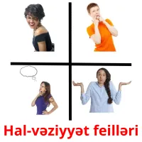 Hal-vəziyyət feilləri cartes flash