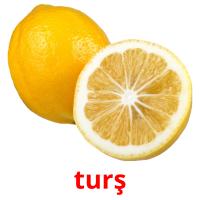 turş cartões com imagens