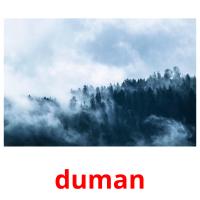 duman Tarjetas didacticas