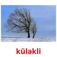 küləkli Bildkarteikarten