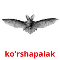 ko'rshapalak picture flashcards