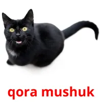 qora mushuk picture flashcards