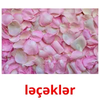 ləçəklər ansichtkaarten