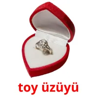 toy üzüyü ansichtkaarten