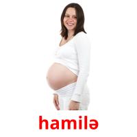 hamilə picture flashcards