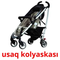 usaq kolyaskası карточки энциклопедических знаний