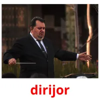 dirijor picture flashcards