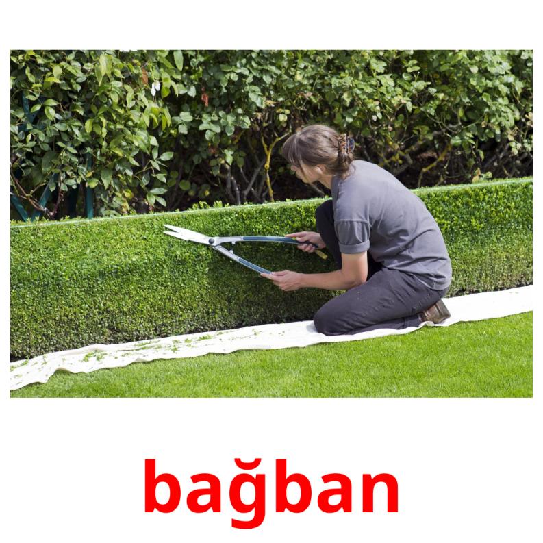 bağban picture flashcards