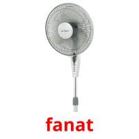 fanat ansichtkaarten