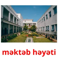 məktəb həyəti flashcards illustrate