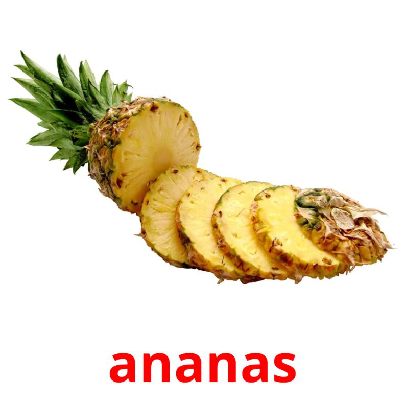 ananas picture flashcards