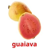 guaiava cartes flash