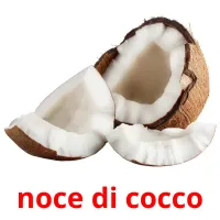 noce di cocco cartes flash