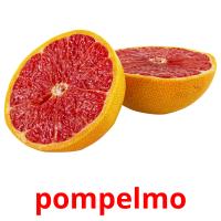 pompelmo picture flashcards