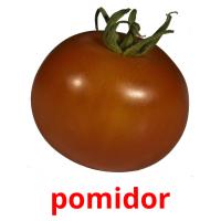 pomidor picture flashcards