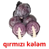 qırmızı kələm cartes flash