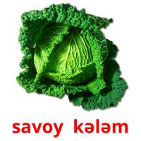 savoy  kələm card for translate
