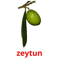 zeytun cartes flash