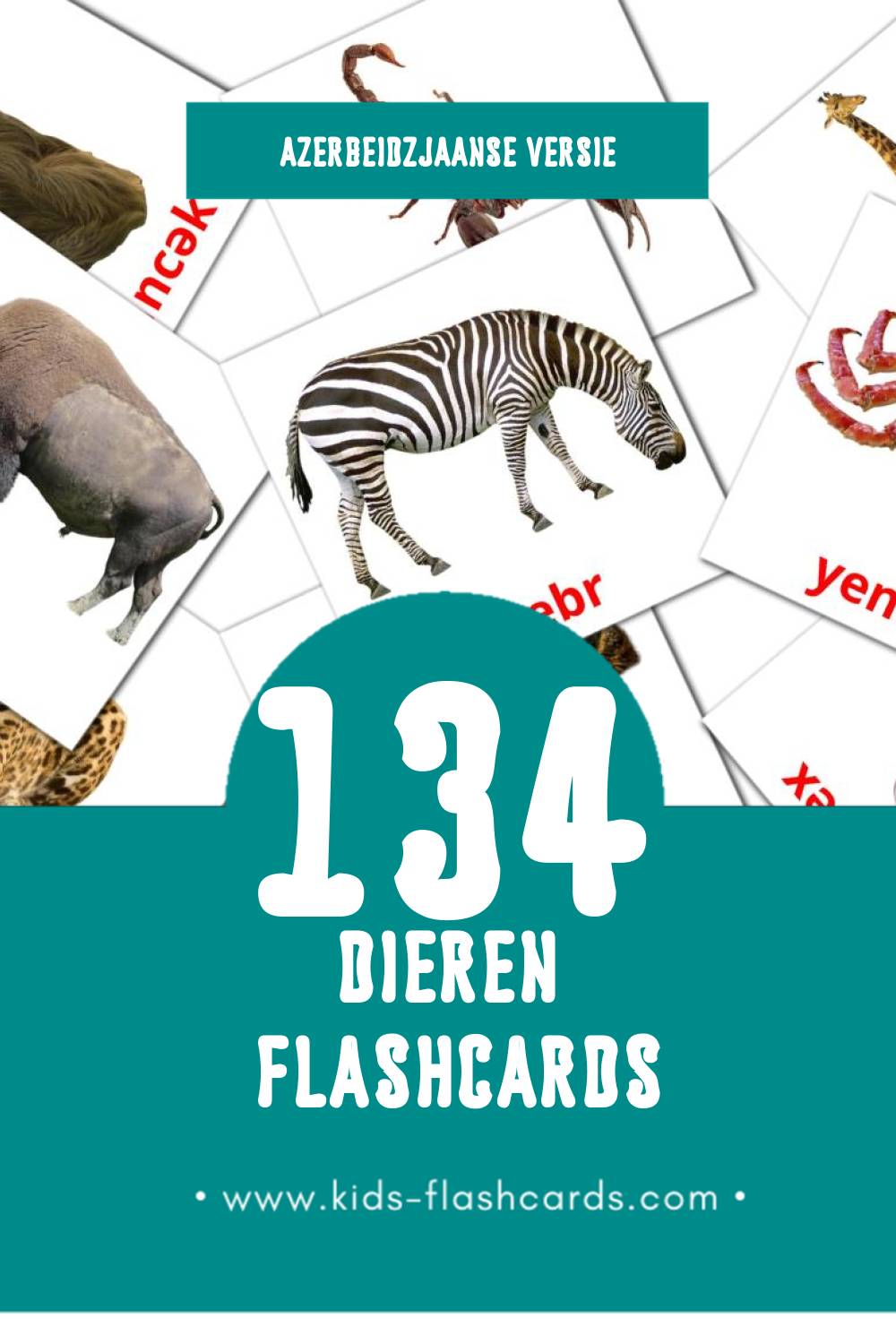 Visuele Ашвырква Flashcards voor Kleuters (134 kaarten in het Azerbeidzjaans)