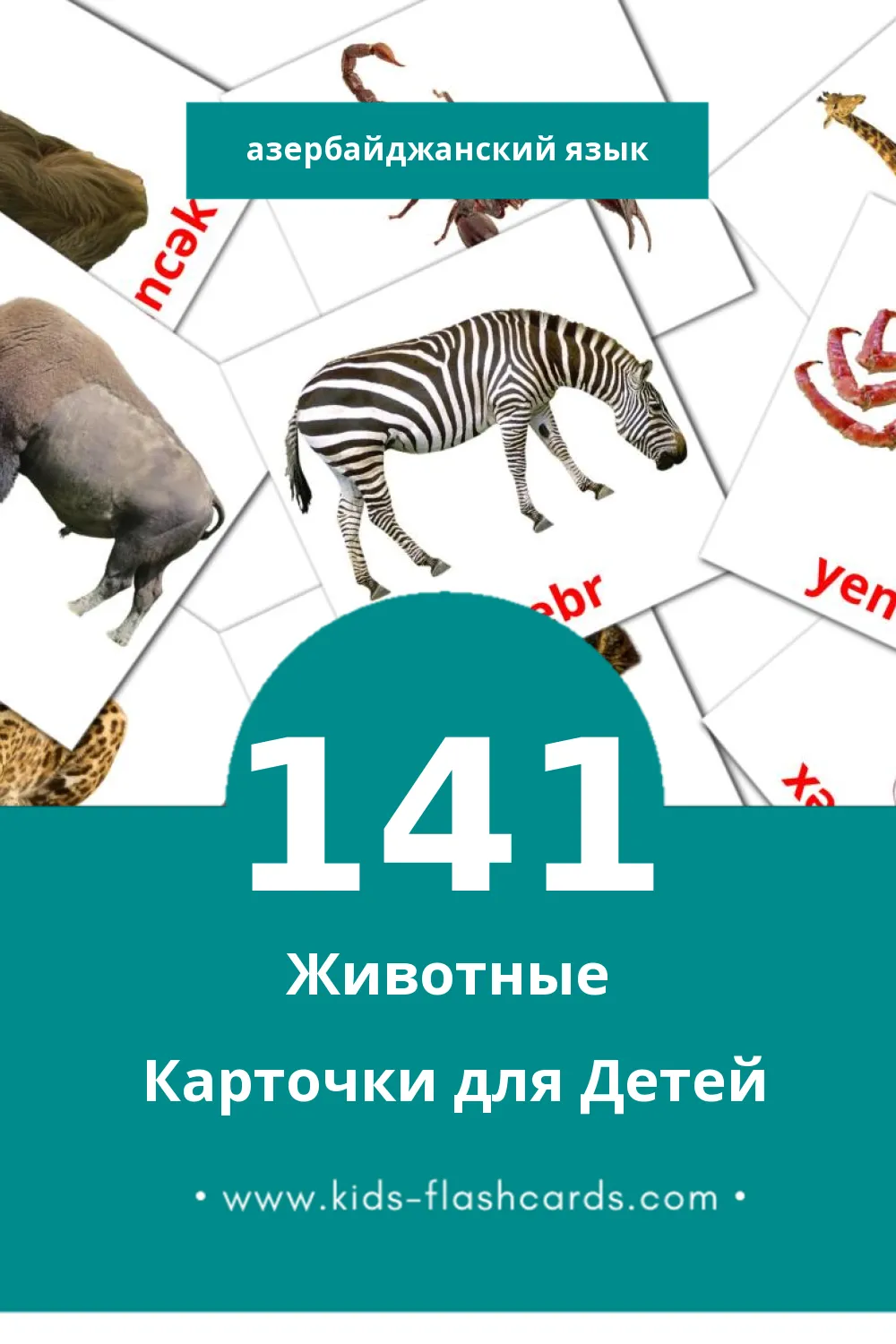 "Ашвырква" - Визуальный Азербайджанском Словарь для Малышей (141 картинок)