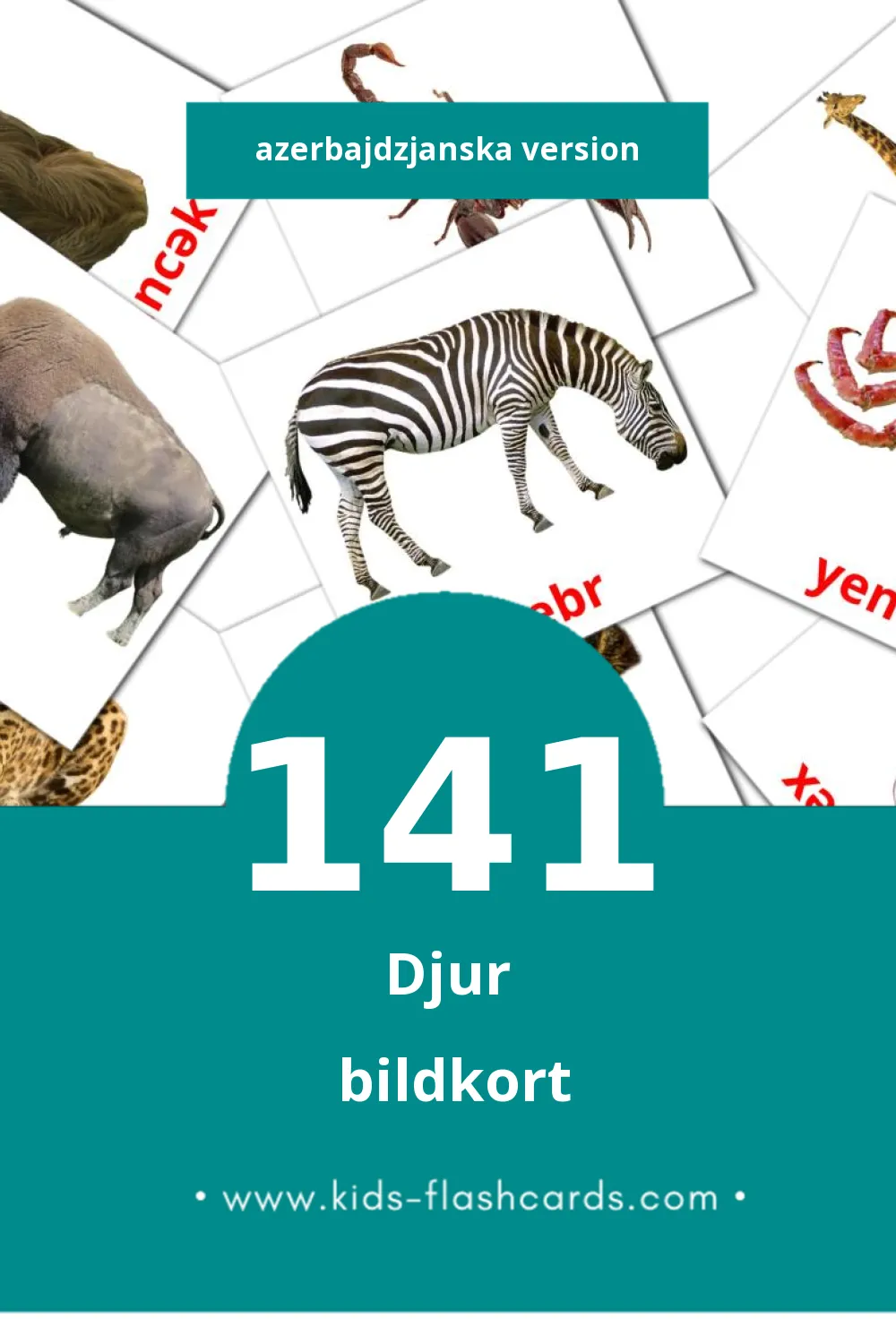 Schede visive sugli Ашвырква per bambini (141 schede in Azerbajdzjanska)